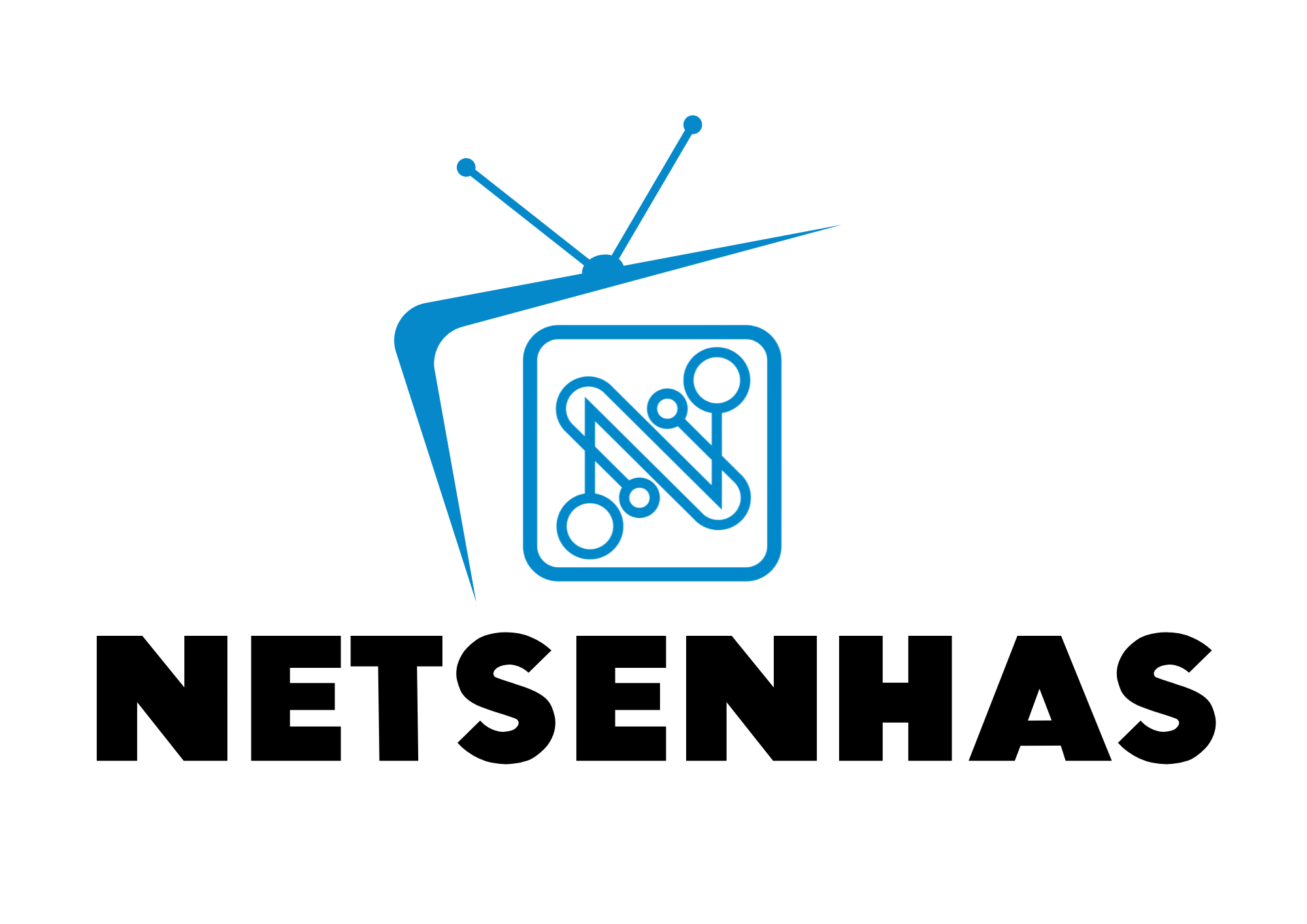 NetSenhas Logo